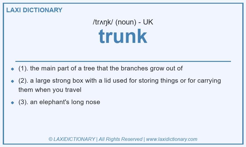 Definition trunk in British English