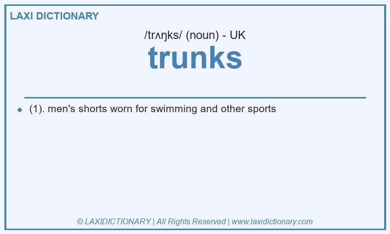 Definition trunks in British English