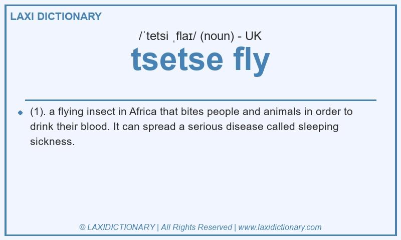Definition tsetse fly in British English