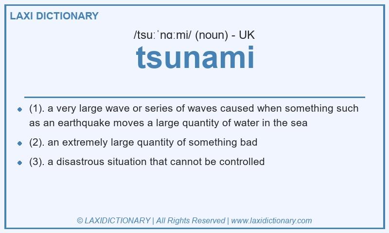 Definition tsunami in British English