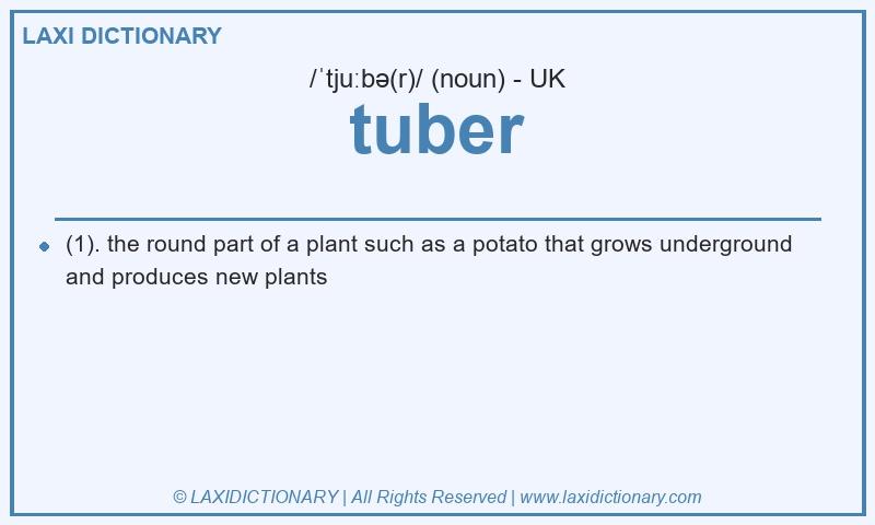 Definition tuber in British English