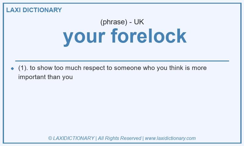 Definition your forelock in British English