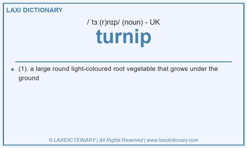 Definition turnip in British English