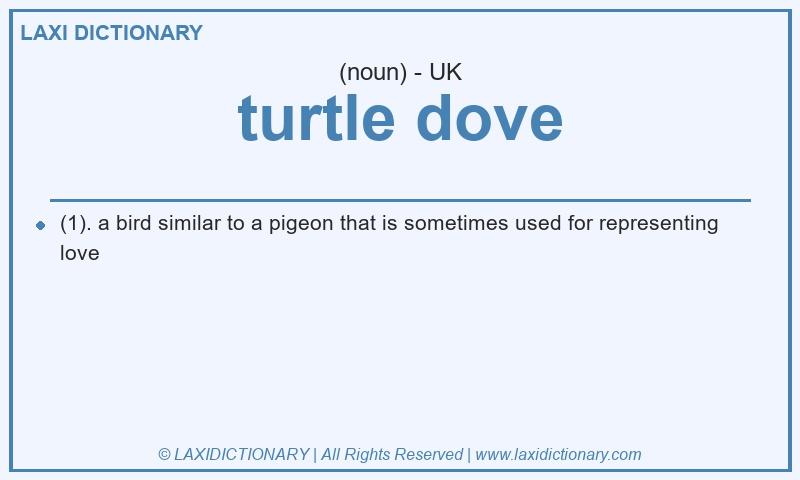 Definition turtle dove in British English