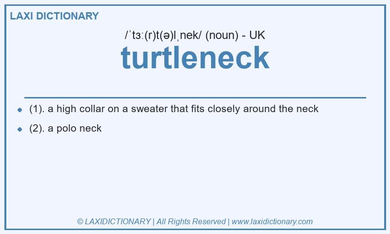 Definition turtleneck in British English