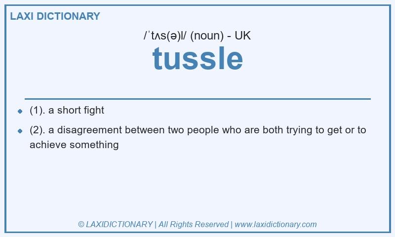 Definition tussle in British English