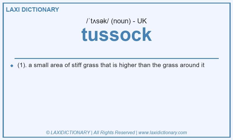 Definition tussock in British English