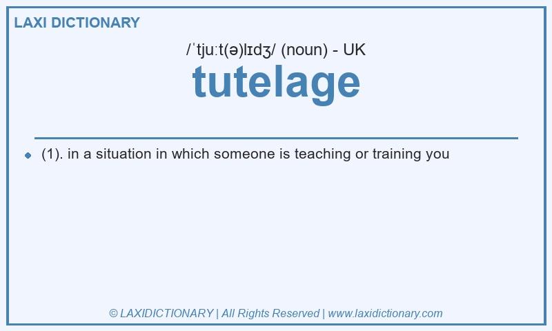 Definition tutelage in British English