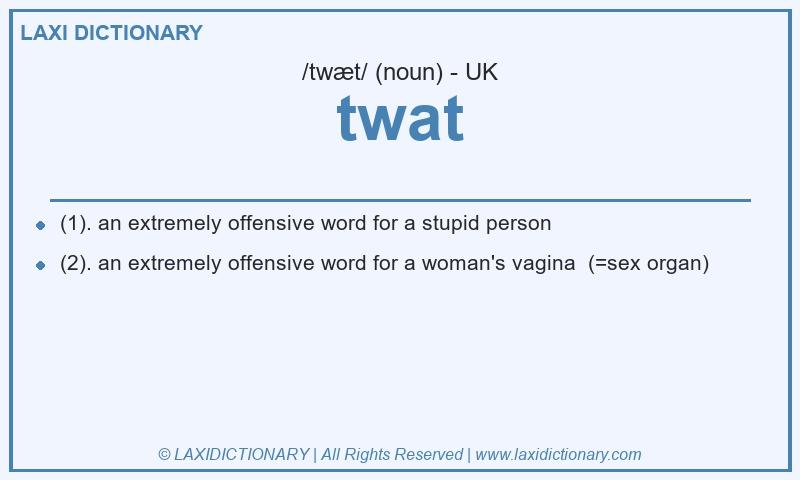 Definition twat in British English
