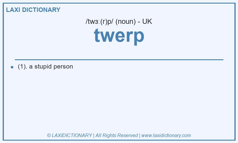 Definition twerp in British English