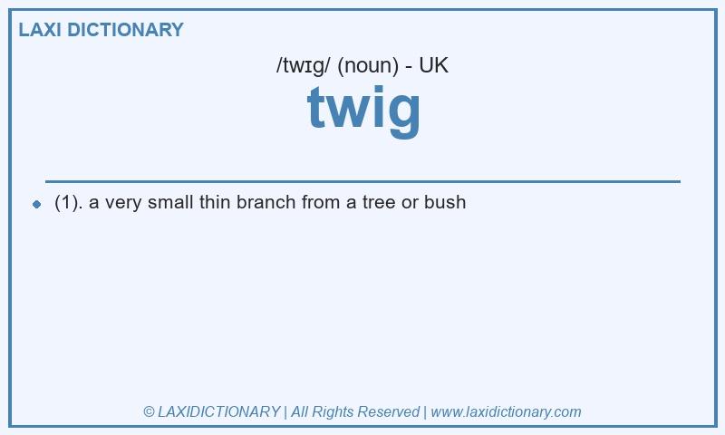 Definition twig in British English
