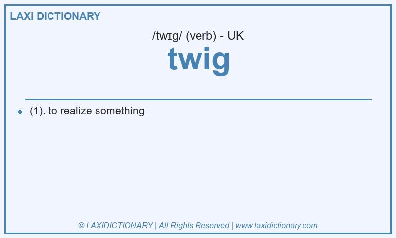Definition twig in British English