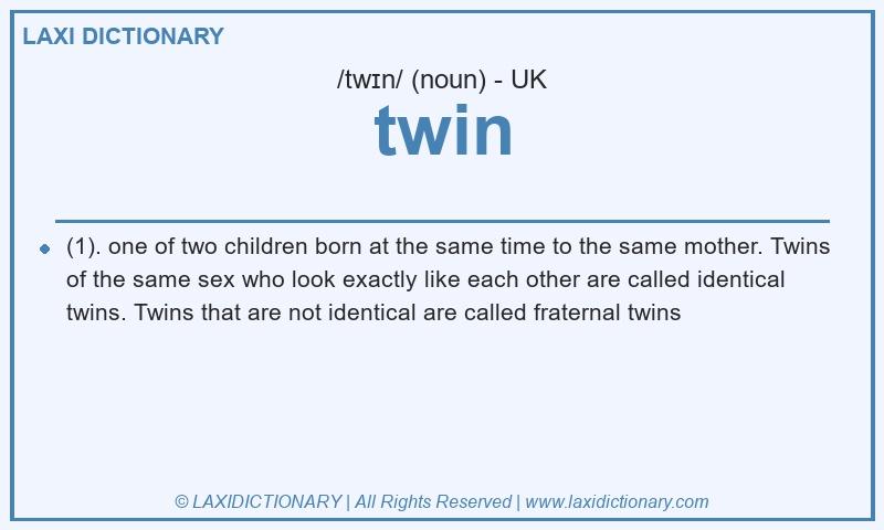 Definition twin in British English