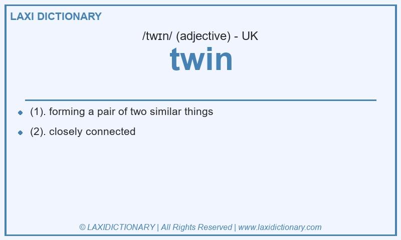 Definition twin in British English