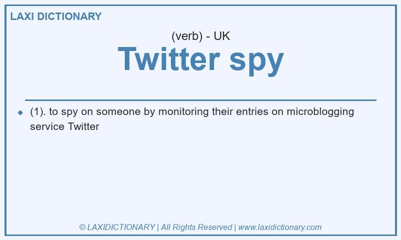 Definition Twitter spy in British English