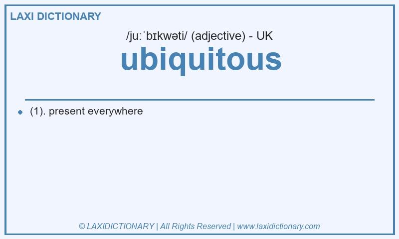 Definition ubiquitous in British English