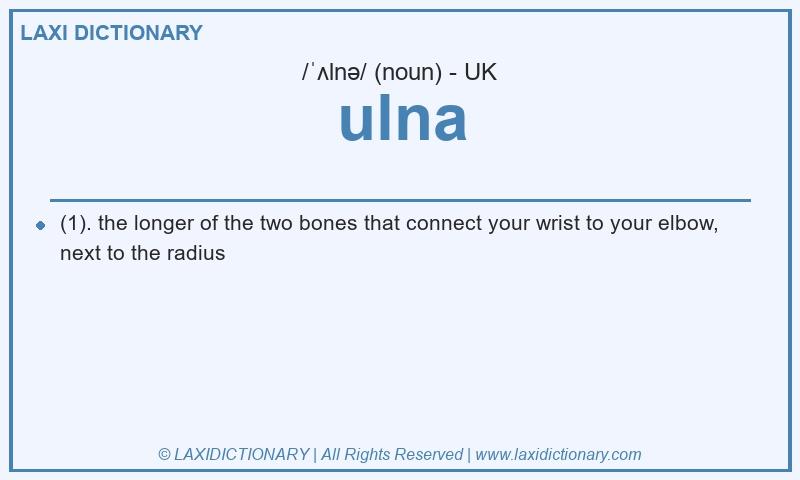 Definition ulna in British English