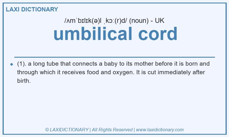 Definition umbilical cord in British English