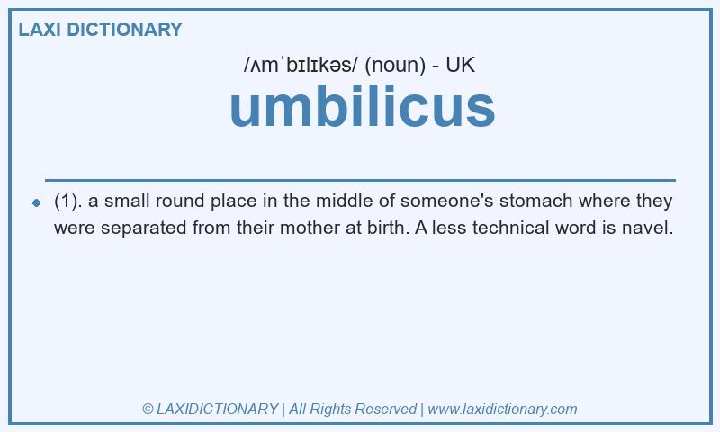 Definition umbilicus in British English