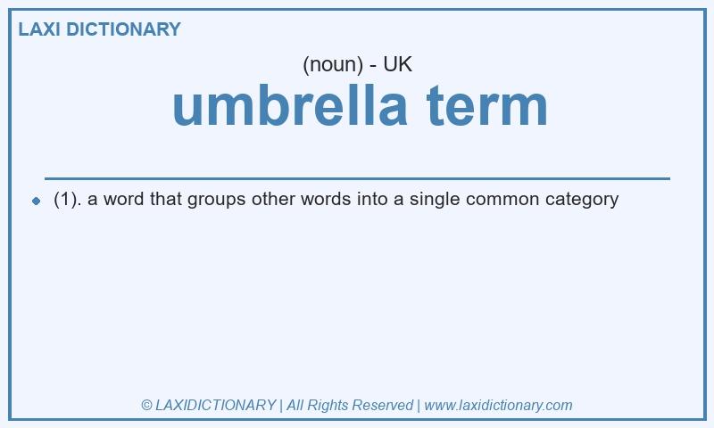 Definition umbrella term in British English