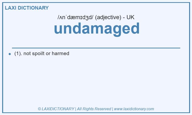 Definition undamaged in British English