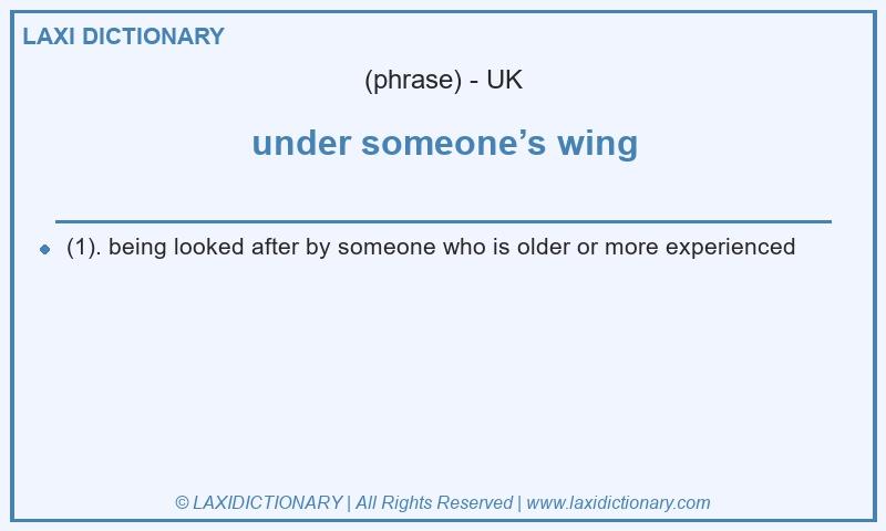 Definition under someone’s wing in British English