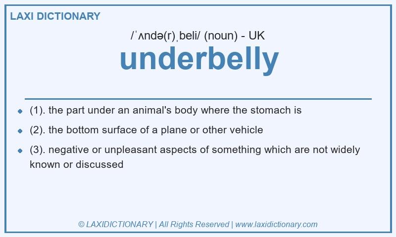 Definition underbelly in British English