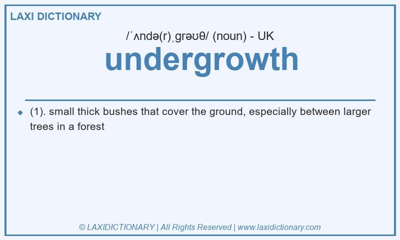 Definition undergrowth in British English