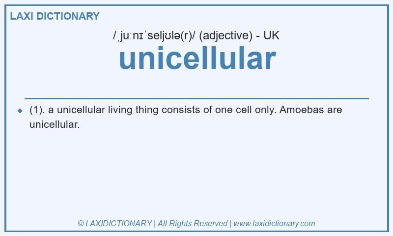 Definition unicellular in British English