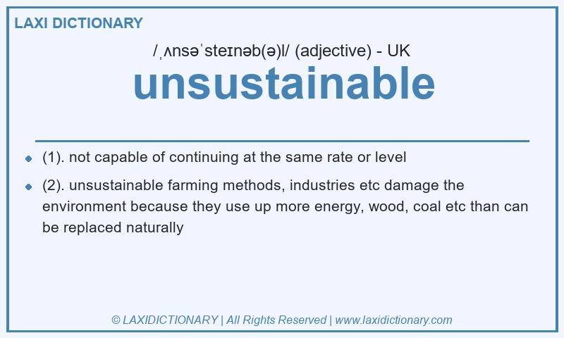 Definition unsustainable in British English