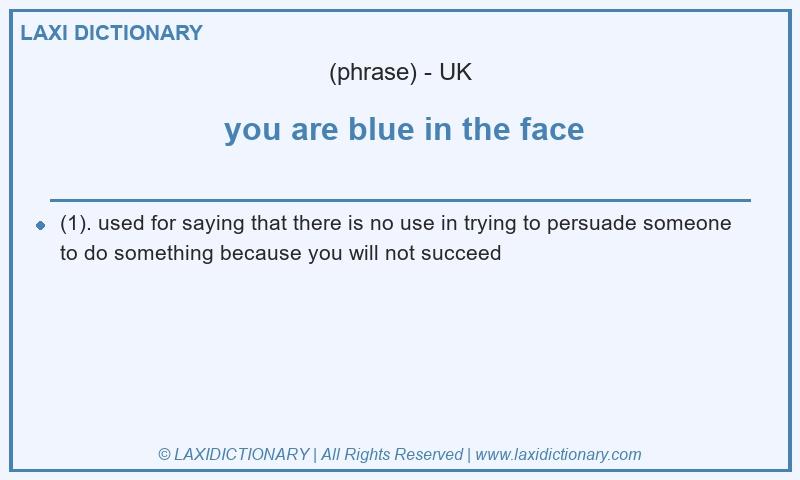 Definition  you are blue in the face in British English