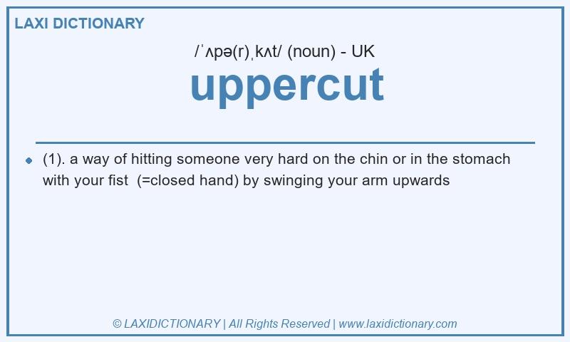 Definition uppercut in British English