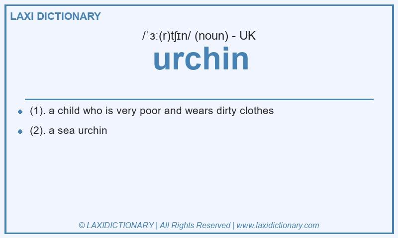 Definition urchin in British English
