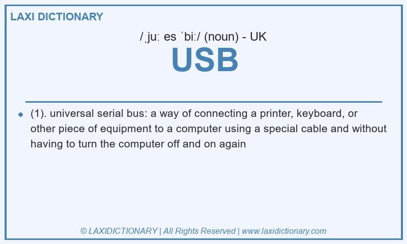 Definition USB in British English