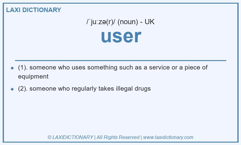 Definition user in British English