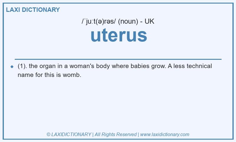 Definition uterus in British English