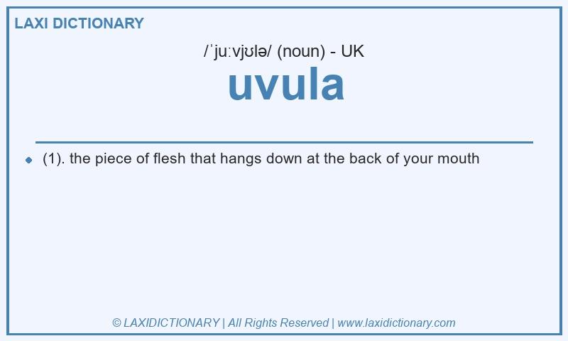 Definition uvula in British English