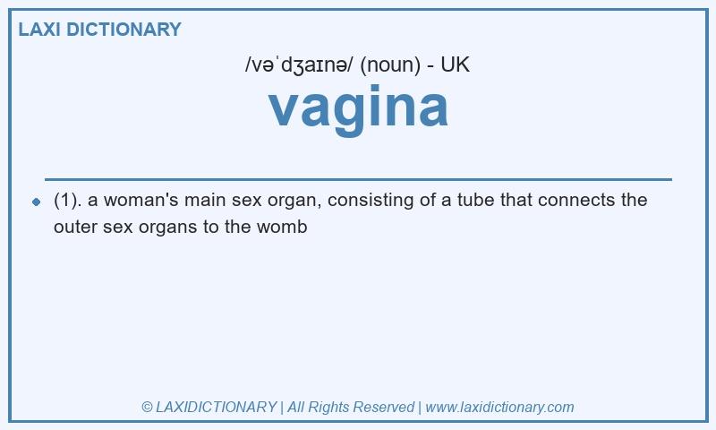 Definition vagina in British English