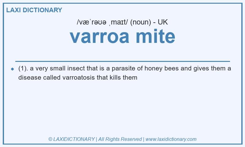 Definition varroa mite in British English