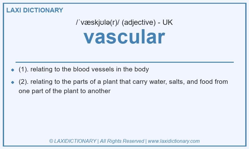 Definition vascular in British English