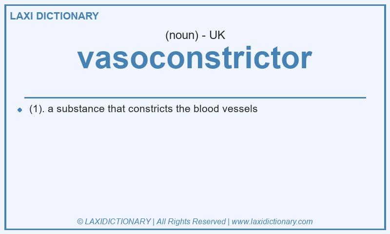 Definition vasoconstrictor in British English