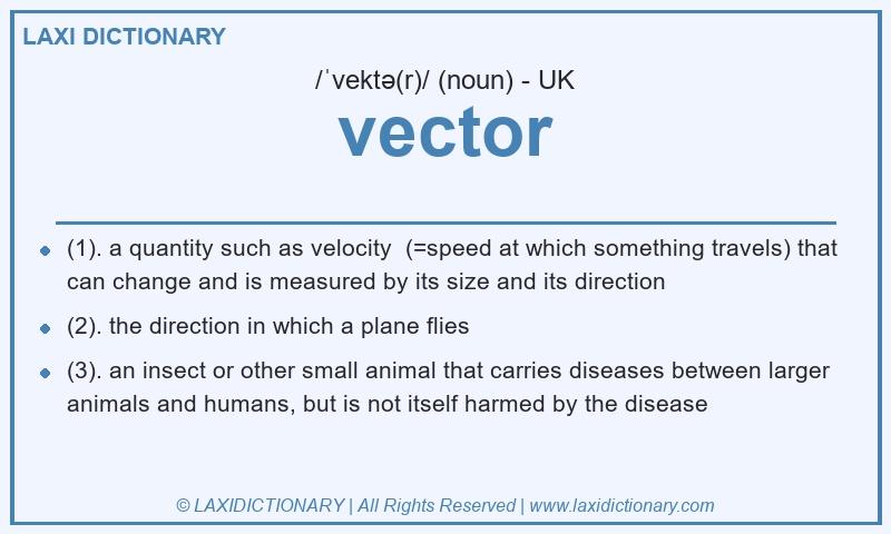 Definition vector in British English