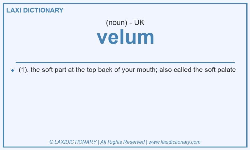 Definition velum in British English