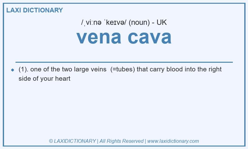 Definition vena cava in British English