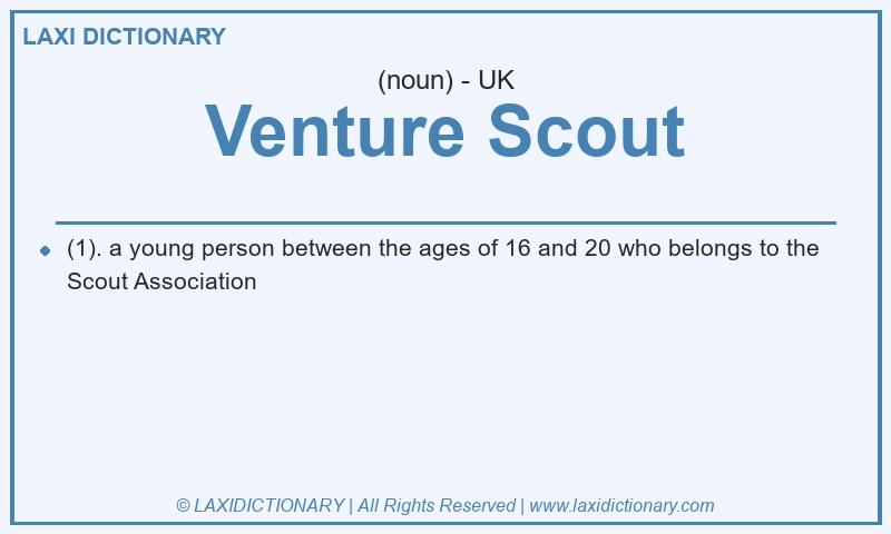 Definition Venture Scout in British English