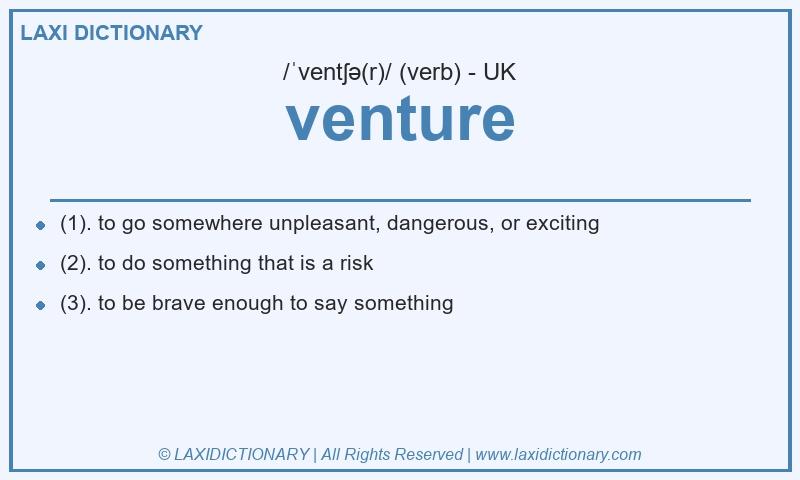 Definition venture in British English