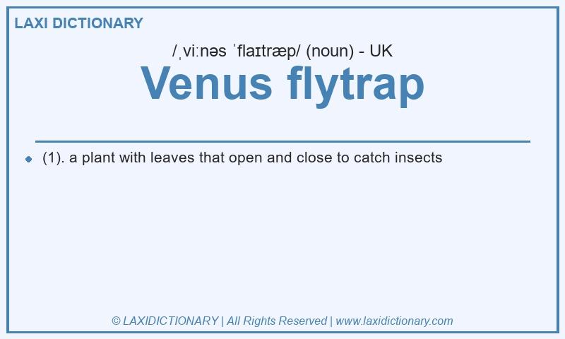 Definition Venus flytrap in British English