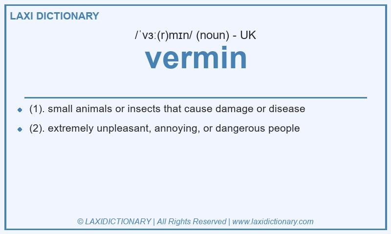 Definition vermin in British English