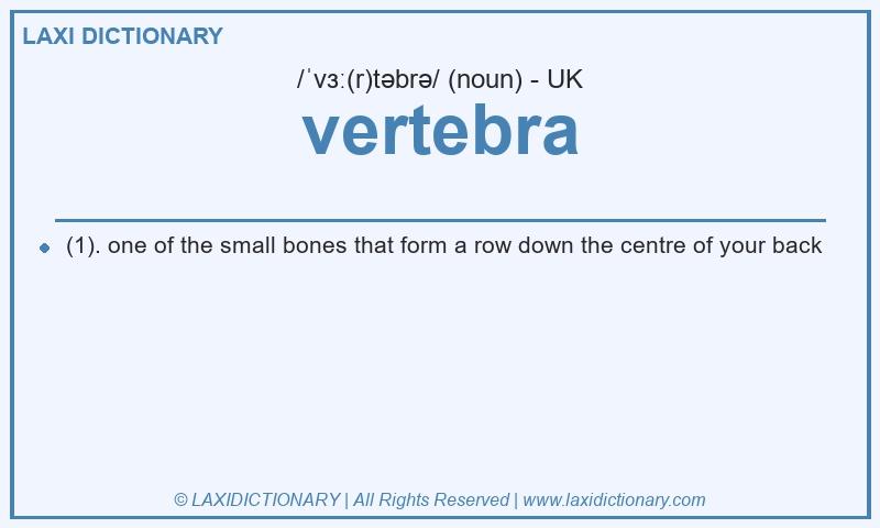 Definition vertebra in British English