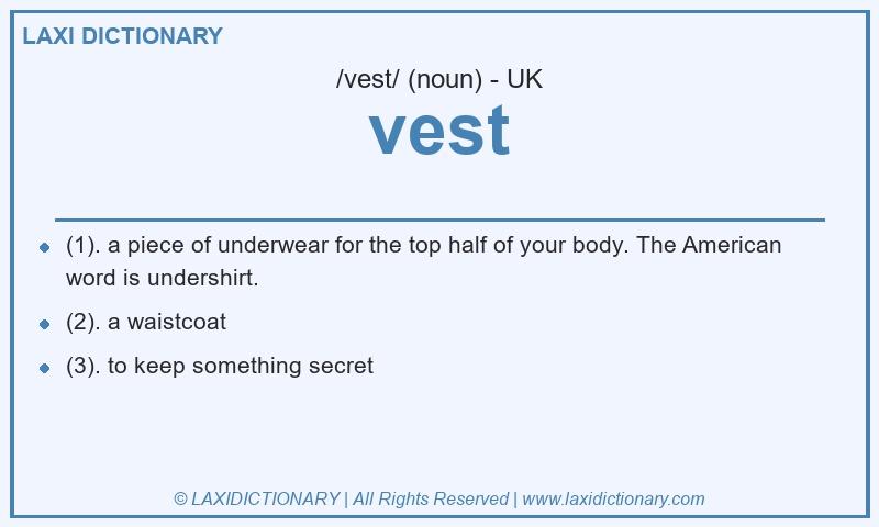 Definition vest in British English